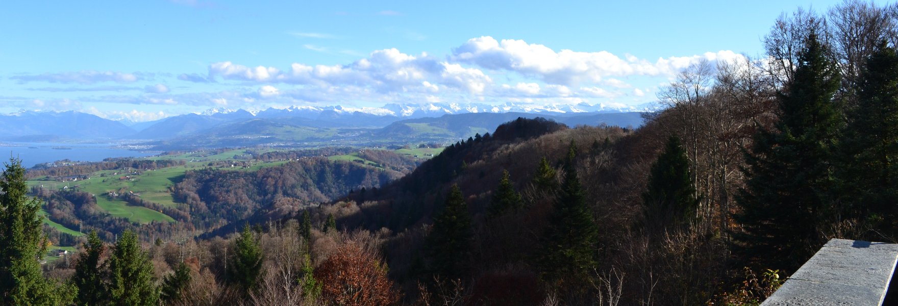 DSC_1713.JPG