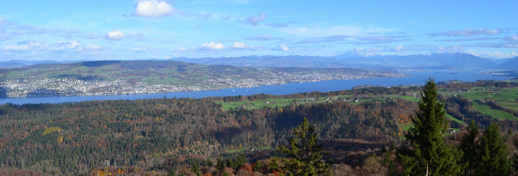 DSC_1712.JPG